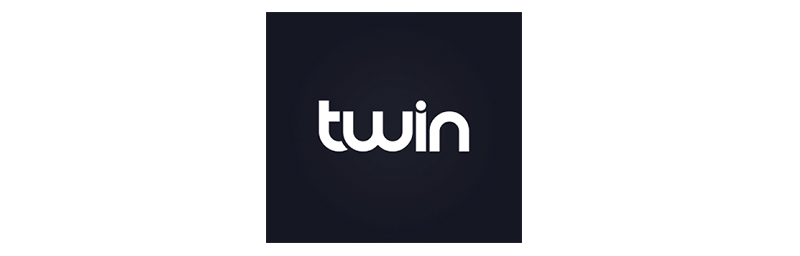 Twin logo